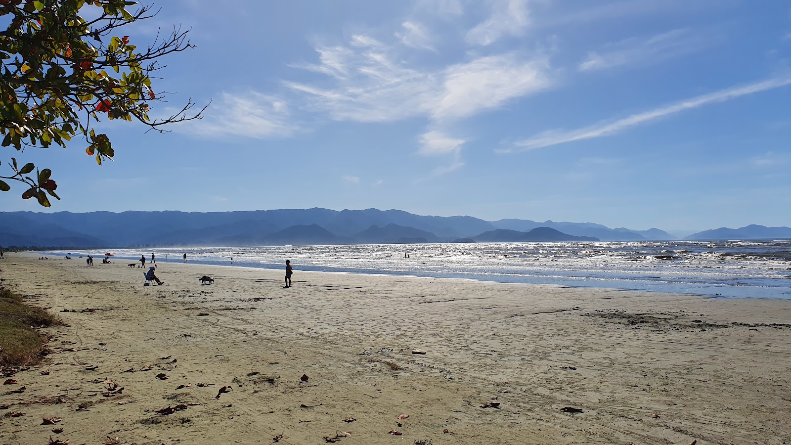 Foto di Spiaggia di Porto Novo con molto pulita livello di pulizia