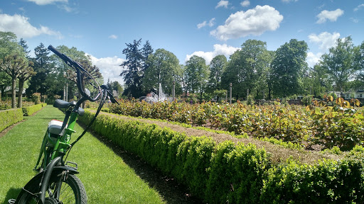 Bicycle Store «The eBike Store, Inc», reviews and photos, 809 N Rosa Parks Way, Portland, OR 97217, USA