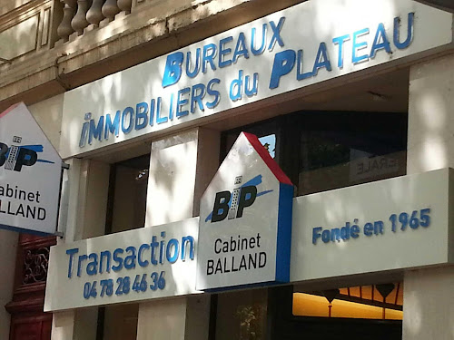 Agence immobilière Bureaux Immobiliers Du Plateau Lyon