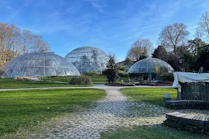 Tropenhäuser im Botanischen Garten der Universität Zürich image
