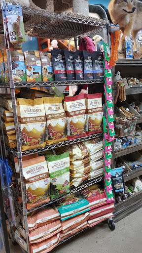 Pet Groomer «ITIG Happy Dog Wash», reviews and photos, 6465 S Chickasaw Trail, Orlando, FL 32829, USA