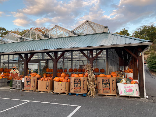 Produce Market «E Draghi & Son Farm Stand», reviews and photos, 86 Main St, South Glastonbury, CT 06073, USA