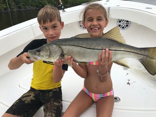 Auto Insurance Agency «Tim Collier - State Farm Insurance Agent», reviews and photos