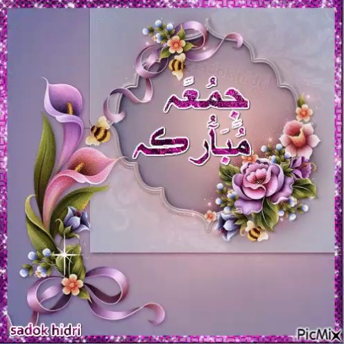 Sadiq Plaza