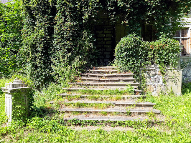 Comentarii opinii despre Dwór