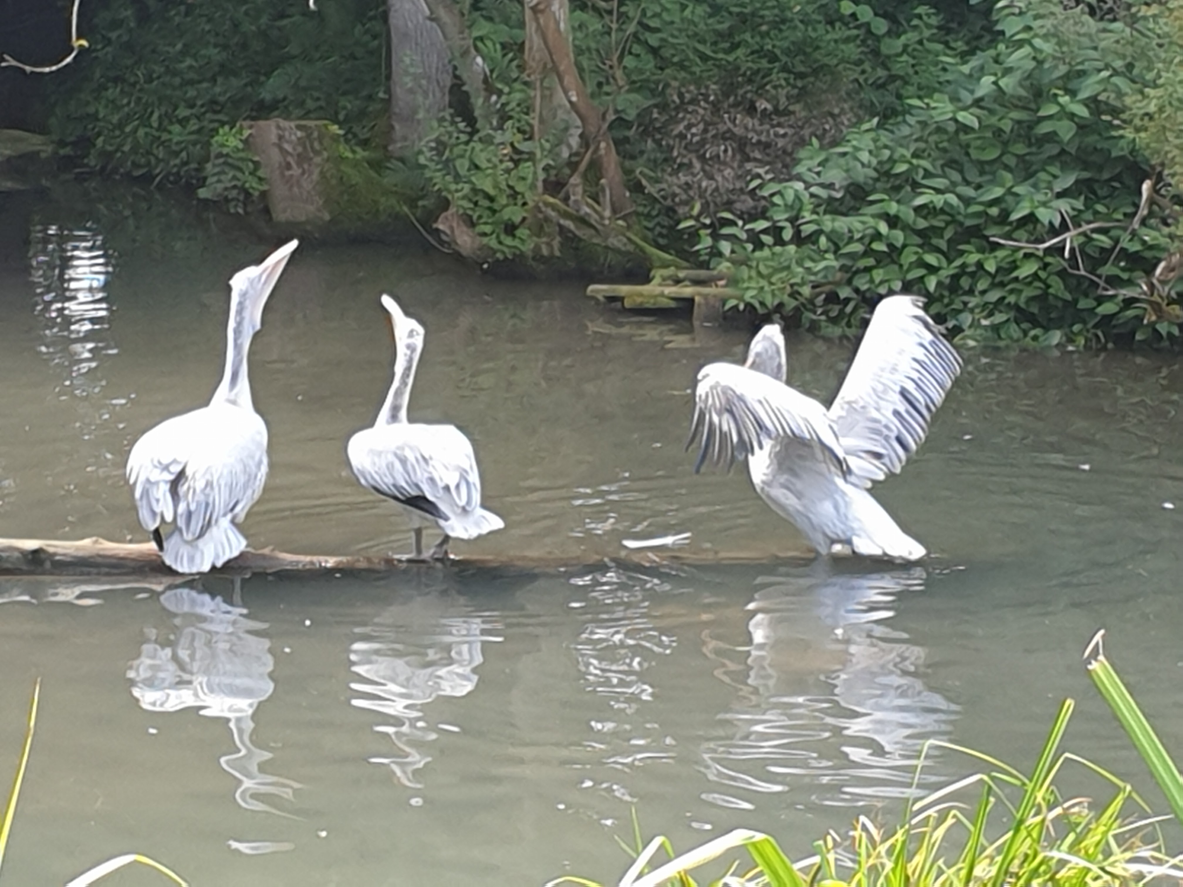 Photo n° 4 de l'avis de Fabienne.e fait le 09/08/2021 à 19:42