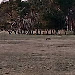 Photo n°2 de l'avis de Cornelia.e fait le 23/04/2022 à 18:43 sur le  Fürst Jaromar - Stenschke Hotel GbR à Mönchgut