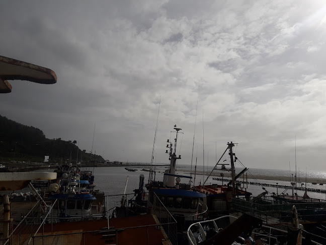 Puerto Pesquero Lebu - Lebu
