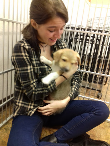 Pet Supply Store «Just Pets», reviews and photos, 8874 Maximus Dr, Lone Tree, CO 80124, USA