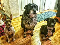 Beck's Furnace Inc. - Photo 3 - Car repair in Lake Stevens, WA, Marysville