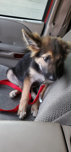 Pet Supply Store «PetSmart», reviews and photos, 7616 Denton Hwy #532, Watauga, TX 76148, USA