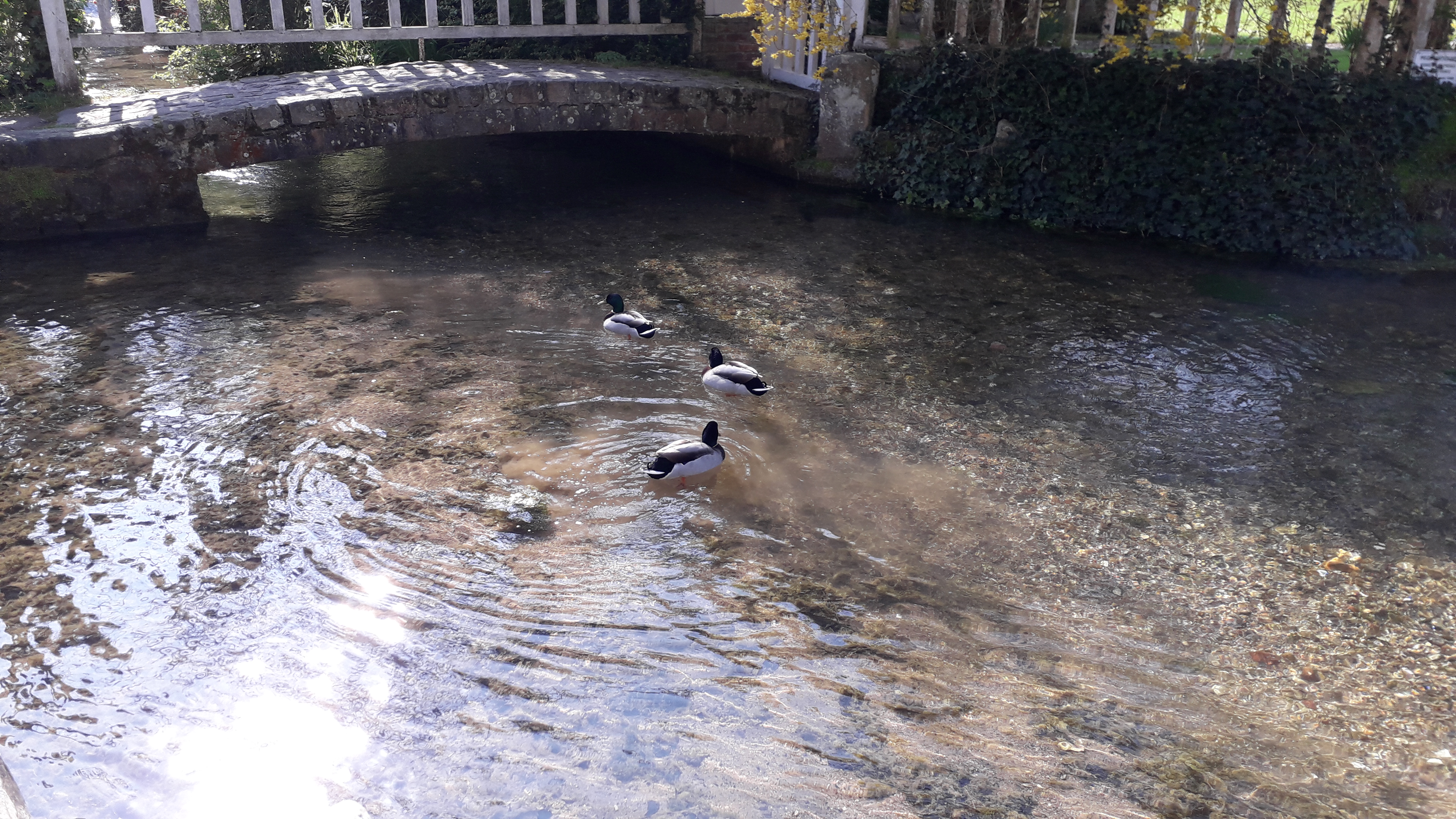 Photo n° 4 de l'avis de Karine.i fait le 01/04/2019 à 15:44