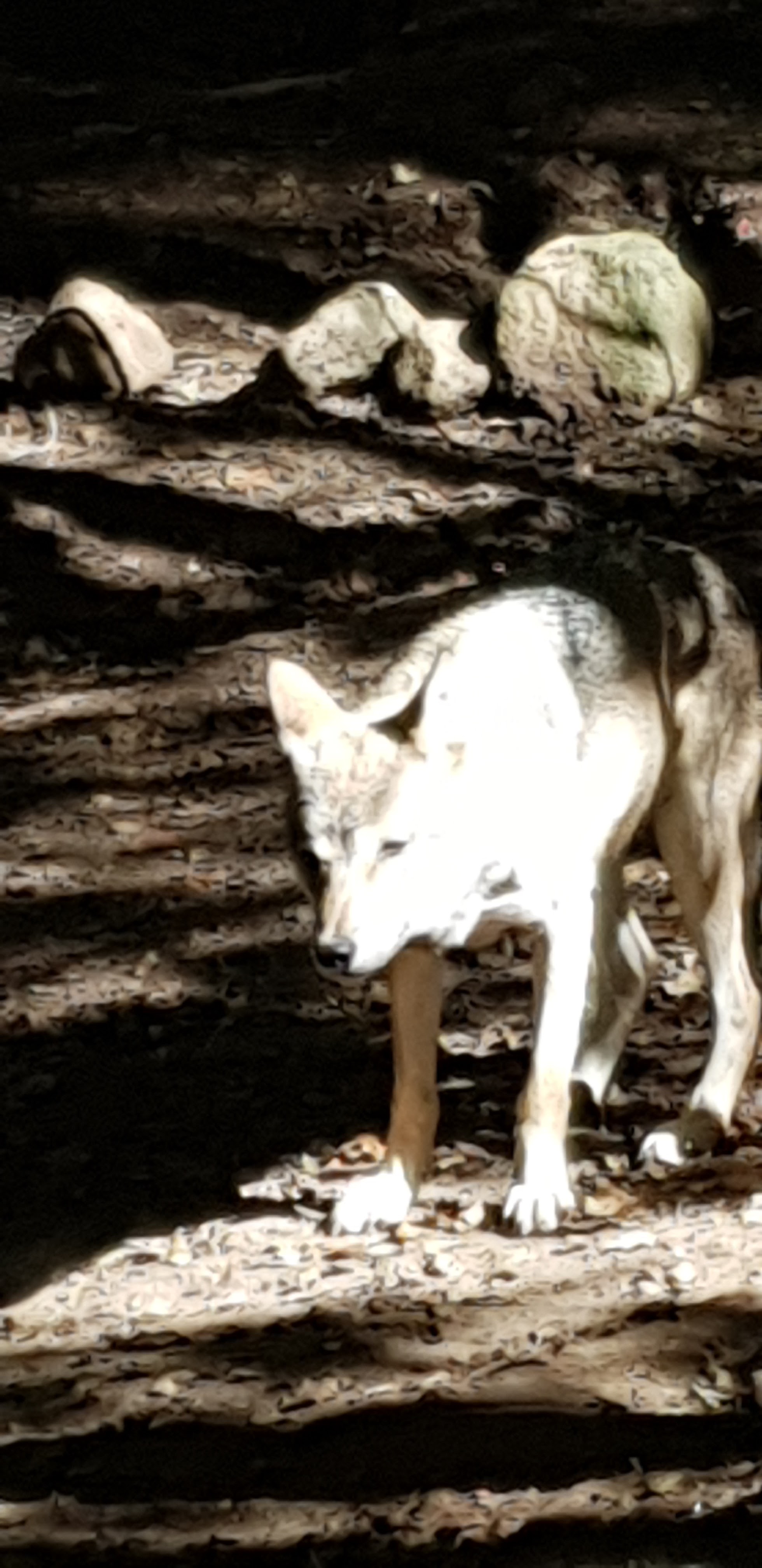 Photo n° 7 de l'avis de Christophe.e fait le 26/09/2018 à 10:29