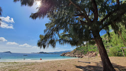 Robinson Beach'in fotoğrafı ve güzel manzarası