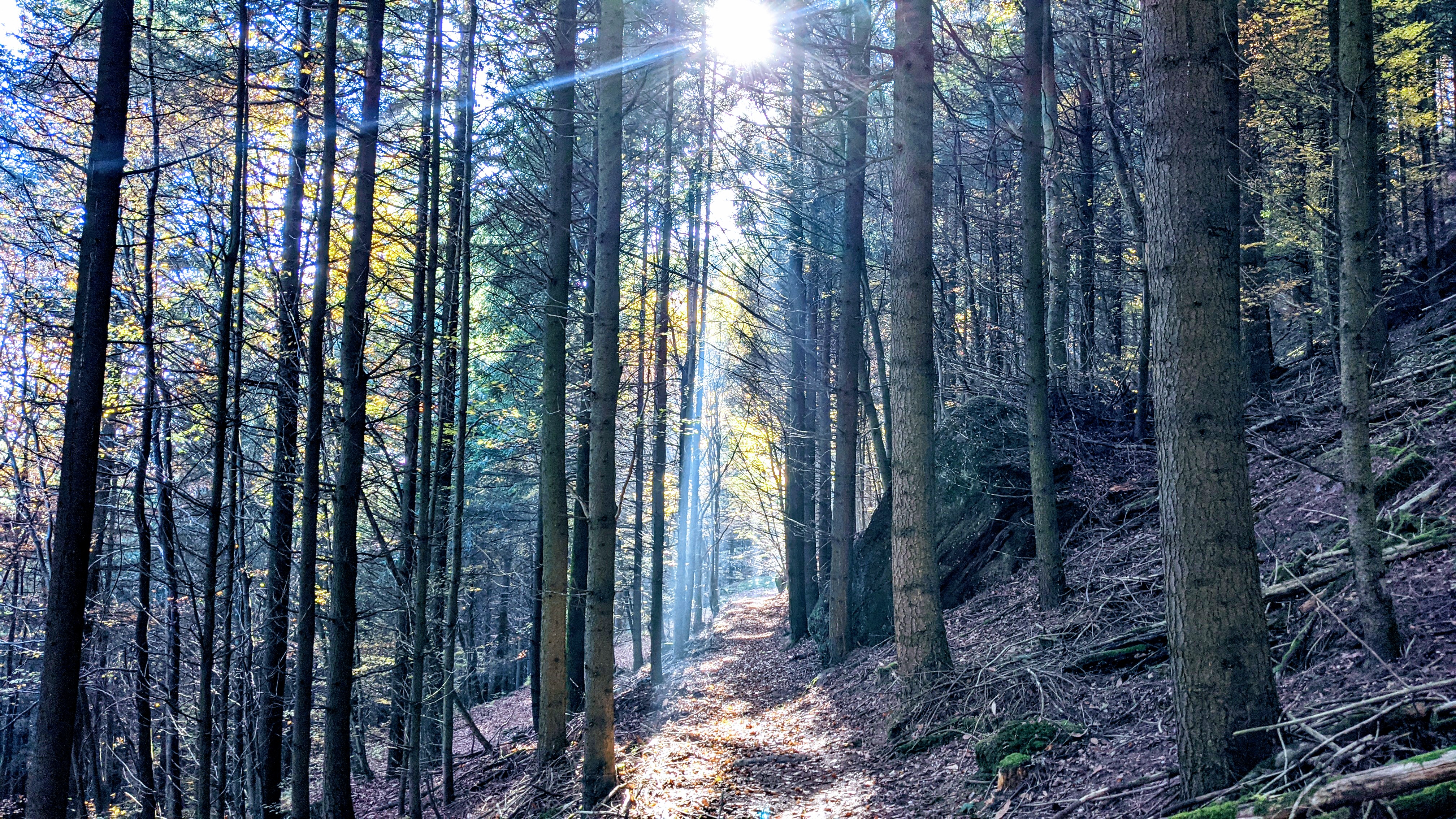 Photo n° 1 de l'avis de Frederic.l fait le 12/11/2021 à 14:20