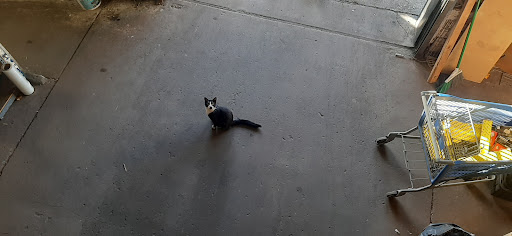 Auto Parts Store «Wilson Auto Parts», reviews and photos, 494 Valley Rd, West Orange, NJ 07052, USA