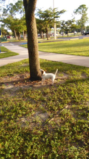 Recreation Center «North Fort Myers Recreation Center», reviews and photos, 2000 N Recreation Park Way, North Fort Myers, FL 33903, USA