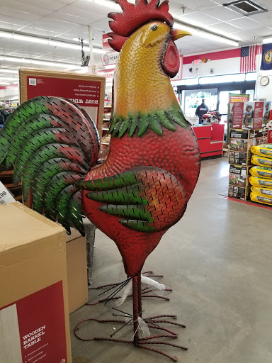 Home Improvement Store «Tractor Supply Co.», reviews and photos, 9630 Ida St, Omaha, NE 68122, USA
