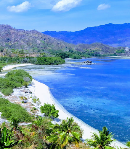 Mengenal Museum Sejarah Lokal di Nusa Tenggara Timur: Menjelajahi Museum of Bishop Gabriel Manek, SVD, Unggu Kanganara, Bale Lengo, dan Gereja Tua Menggelama