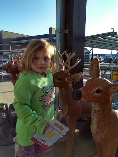 Hardware Store «Westlake Ace Hardware 100», reviews and photos, 2300 S Springfield Ave, Bolivar, MO 65613, USA