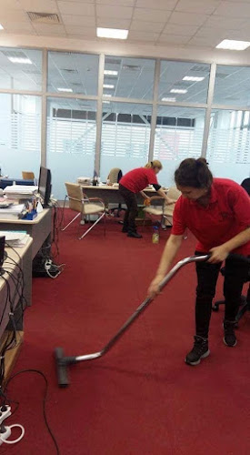 M&V TOTAL CLEANING SERVICES SRL - Servicii de curățenie