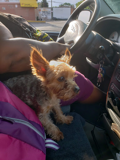 Roller Skating Rink «Dr. Martin Luther King, Jr. Roller Skating and Bowling Center», reviews and photos, 1219 W 76th St, Chicago, IL 60620, USA