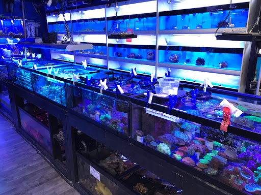 Tropical Fish Store «Aqua Dreams», reviews and photos, 8 Southwick St, Feeding Hills, MA 01030, USA