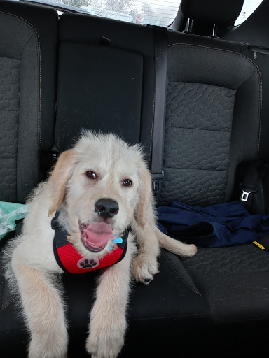 Pet Store «Animal House», reviews and photos, 7869 Hamilton Ave, Cincinnati, OH 45231, USA