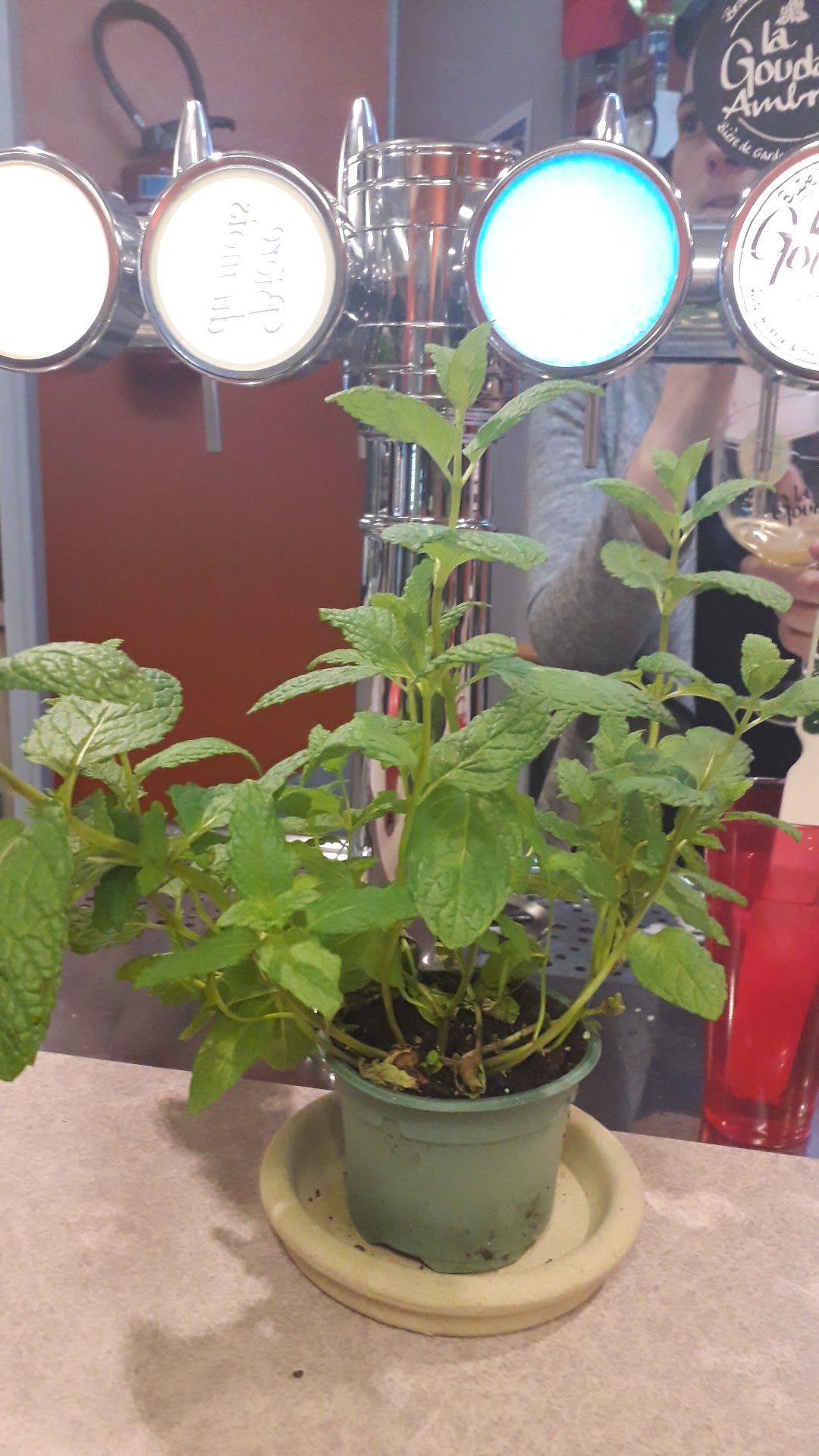 Photo n° 1 de l'avis de RONAN.' fait le 05/04/2019 à 15:20