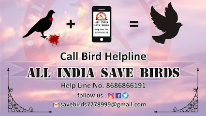 Birds helpline Banaskantha (deesa,patan,palanpur,bhildi,thara,diyodar)