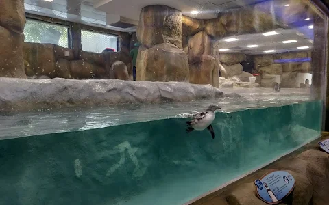 Penguin Park image