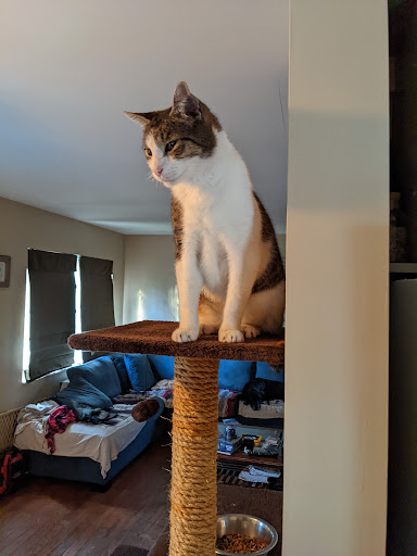 Shoe Store «SKECHERS Factory Outlet», reviews and photos, 931 E Commercial Blvd, Oakland Park, FL 33334, USA