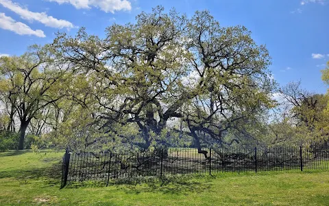 Giant Oak Park image