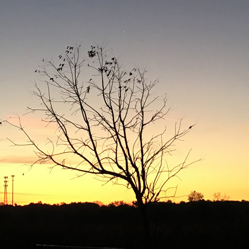 Nature Preserve «Lockport Prairie Nature Preserve», reviews and photos, Broadway St, Lockport, IL 60441, USA