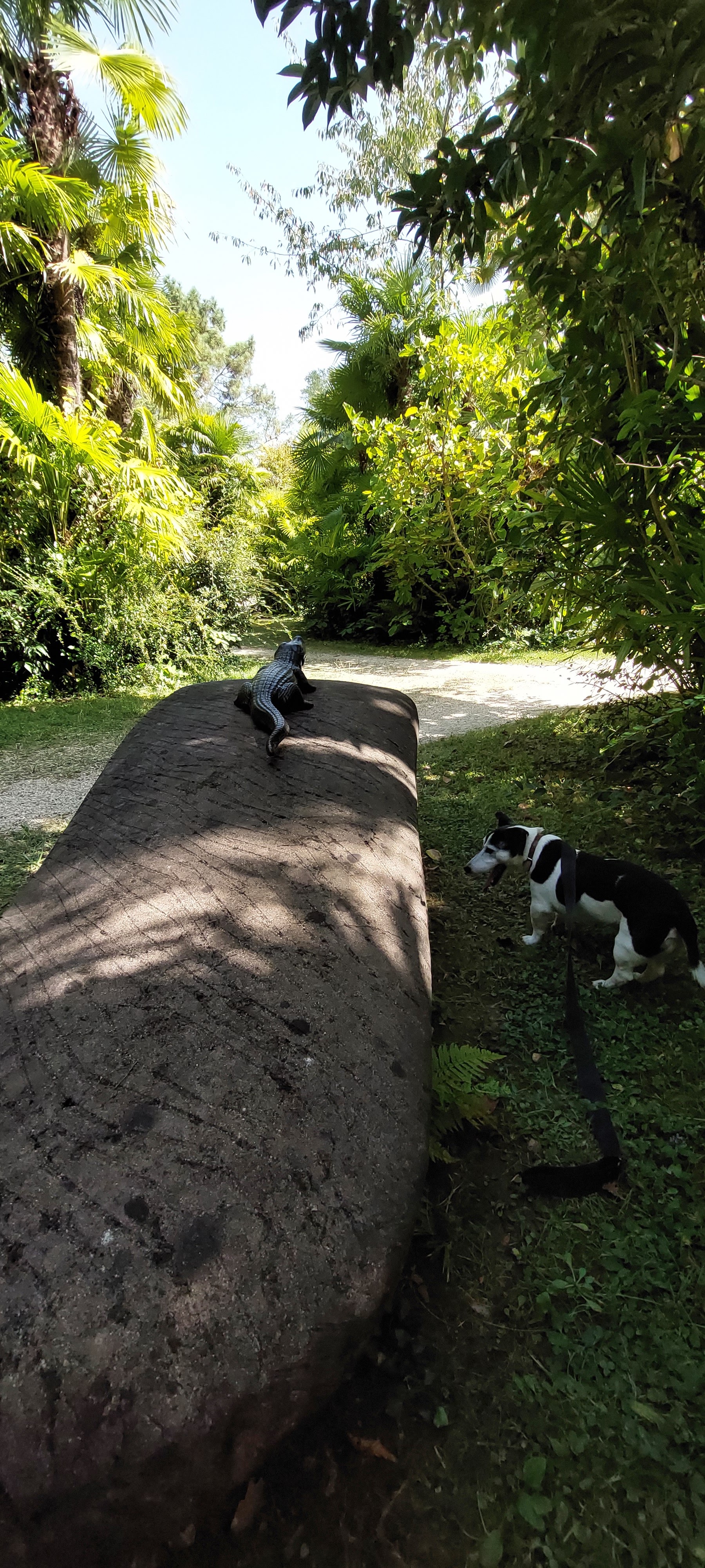 Photo n° 2 de l'avis de YAN. fait le 15/08/2023 à 17:00