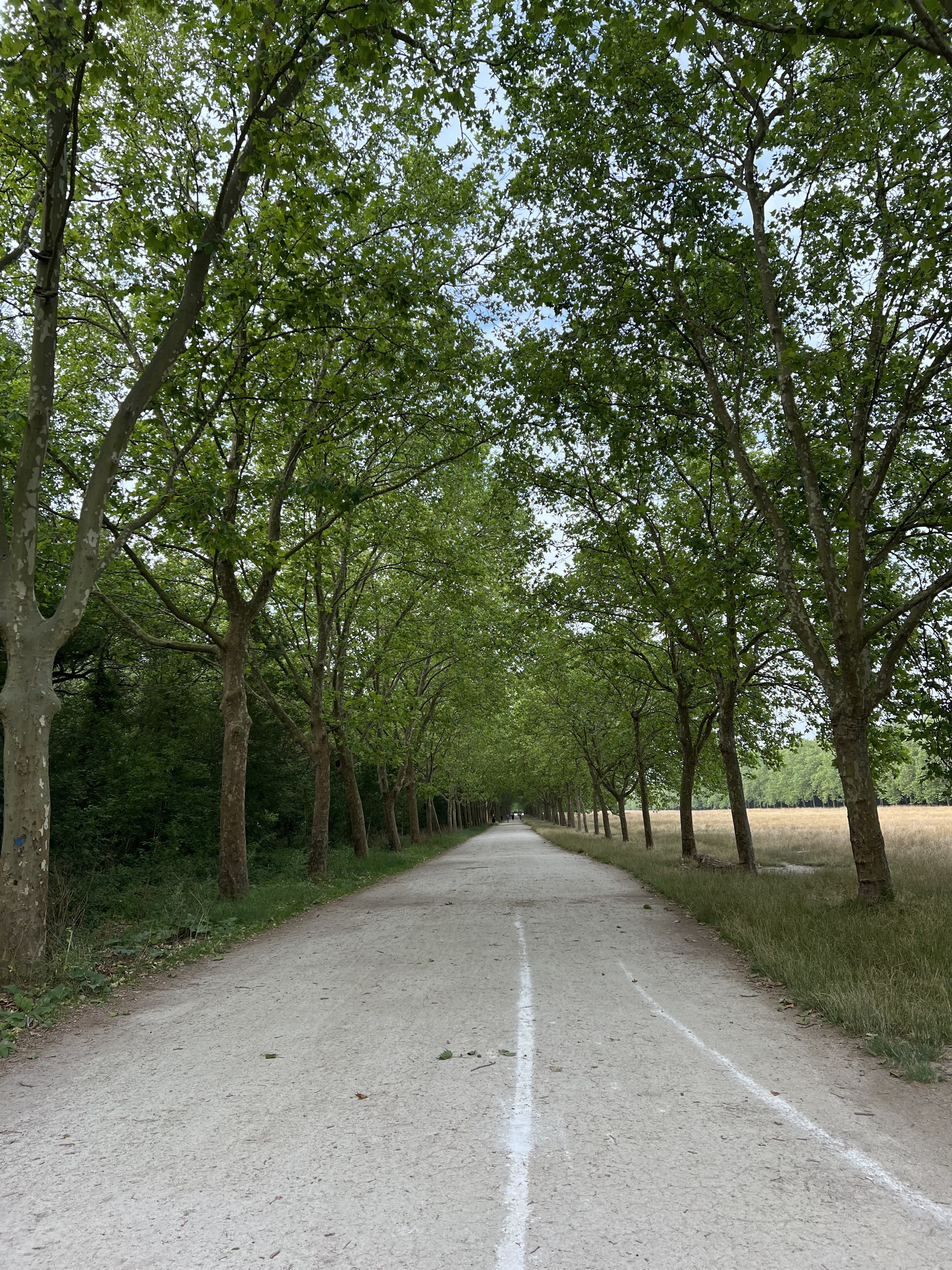 Photo n° 3 de l'avis de Bernice.u fait le 18/07/2023 à 20:37