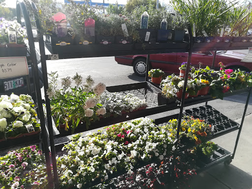 Los Gatos Ace Hardware image