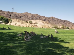 Nevada State Railroad Museum Boulder City - photo 50