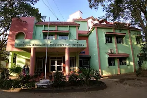 National Research Institute for Panchakarma image