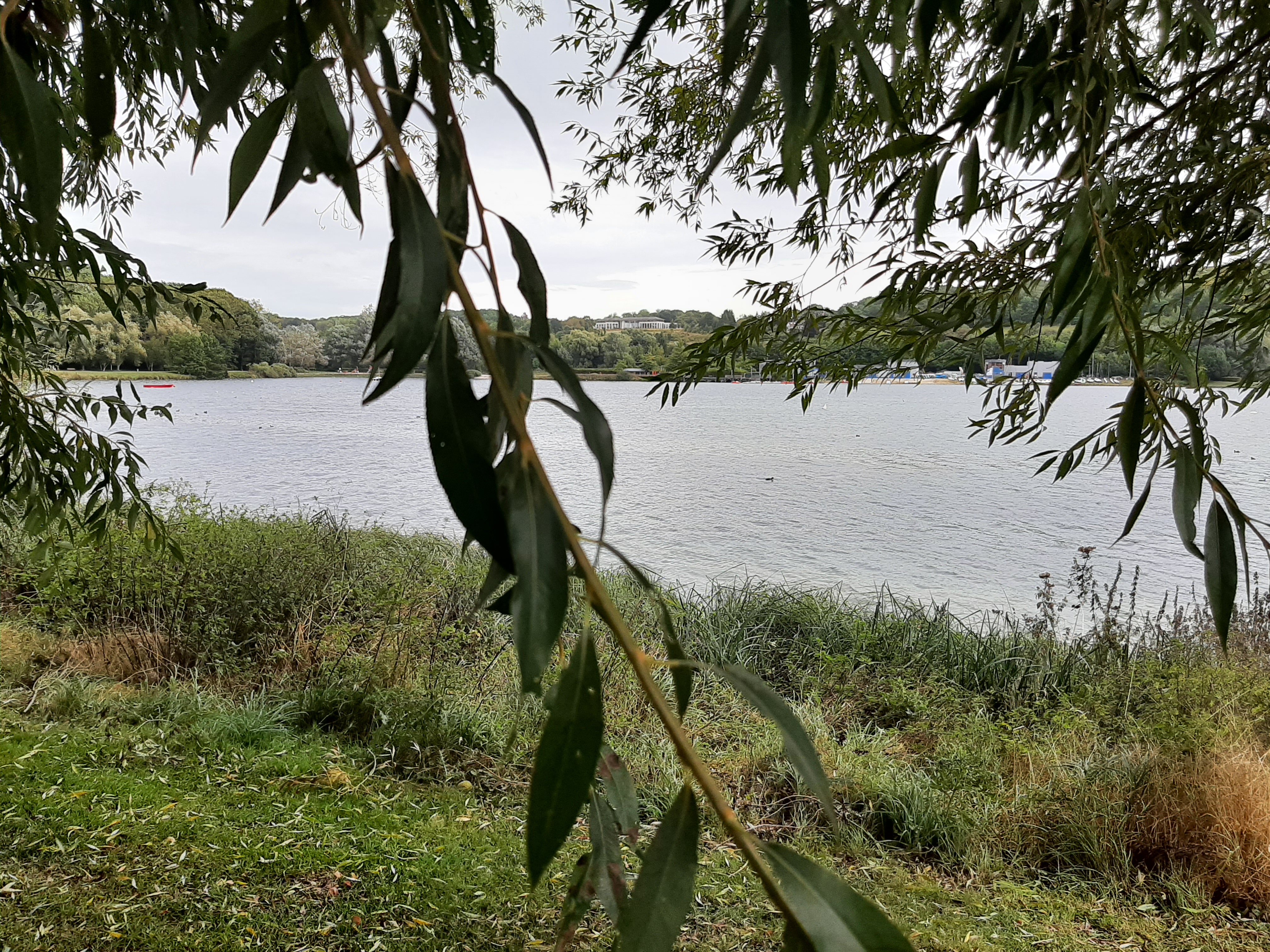 Photo n° 23 de l'avis de NoNo.o fait le 03/10/2021 à 17:51