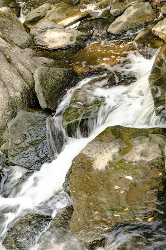 Park «Boyle Park», reviews and photos, 2000 Boyle Park Rd, Little Rock, AR 72204, USA