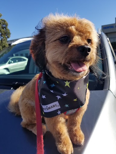 Pet Supply Store «PetSmart», reviews and photos, 315 Gellert Blvd, Daly City, CA 94015, USA