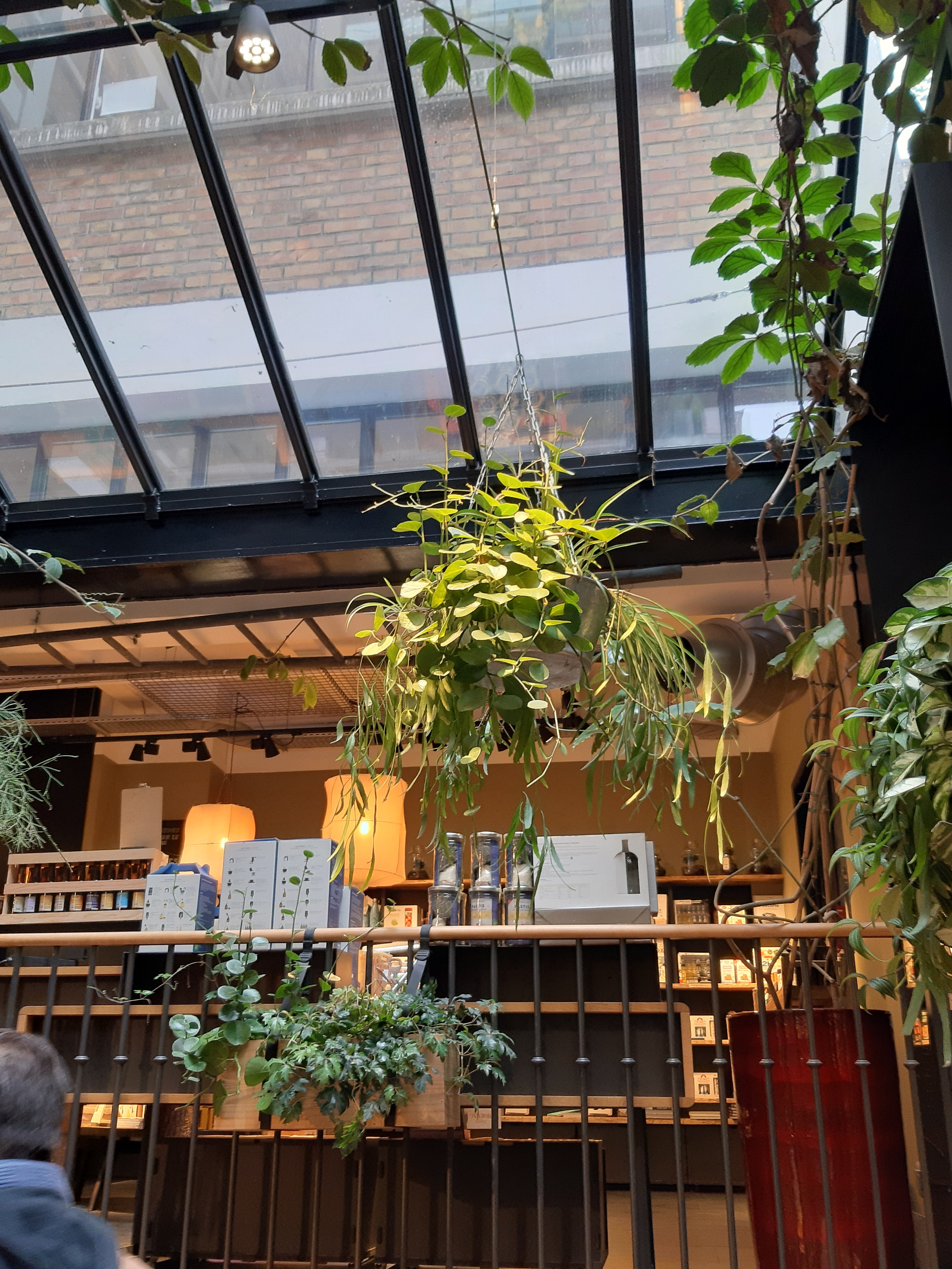 Photo n° 3 de l'avis de Berrué.s fait le 19/02/2020 à 19:37