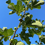 Photo n°10 de l'avis de Bengü.o fait le 22/08/2023 à 11:42 sur le  San Clemente Palace Kempinski Venice à Venice