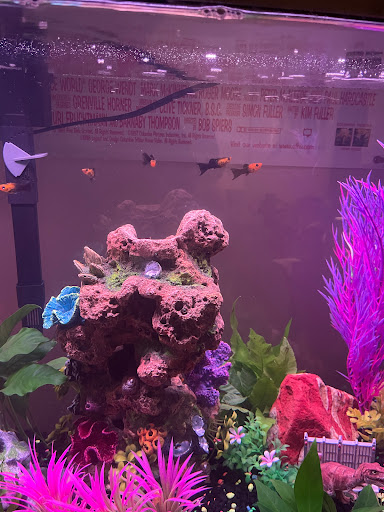 Pet Supply Store «PetSmart», reviews and photos, 3 McKenna Rd, Arden, NC 28704, USA