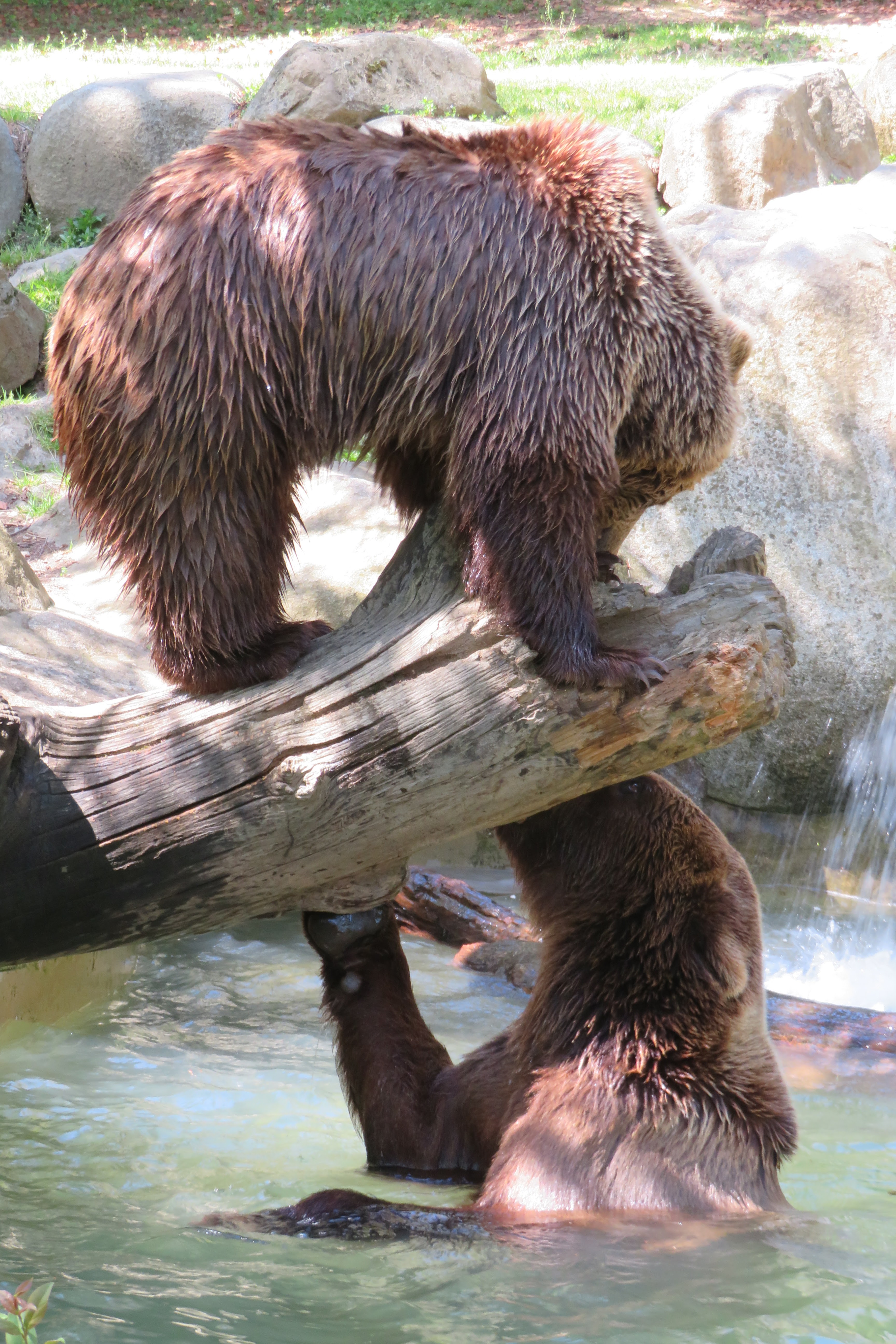 Photo n° 2 de l'avis de Pascal.E fait le 09/04/2023 à 04:13