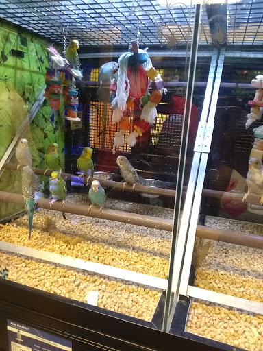 Pet Supply Store «PetSmart», reviews and photos, 1759 Apalachee Pkwy, Tallahassee, FL 32301, USA