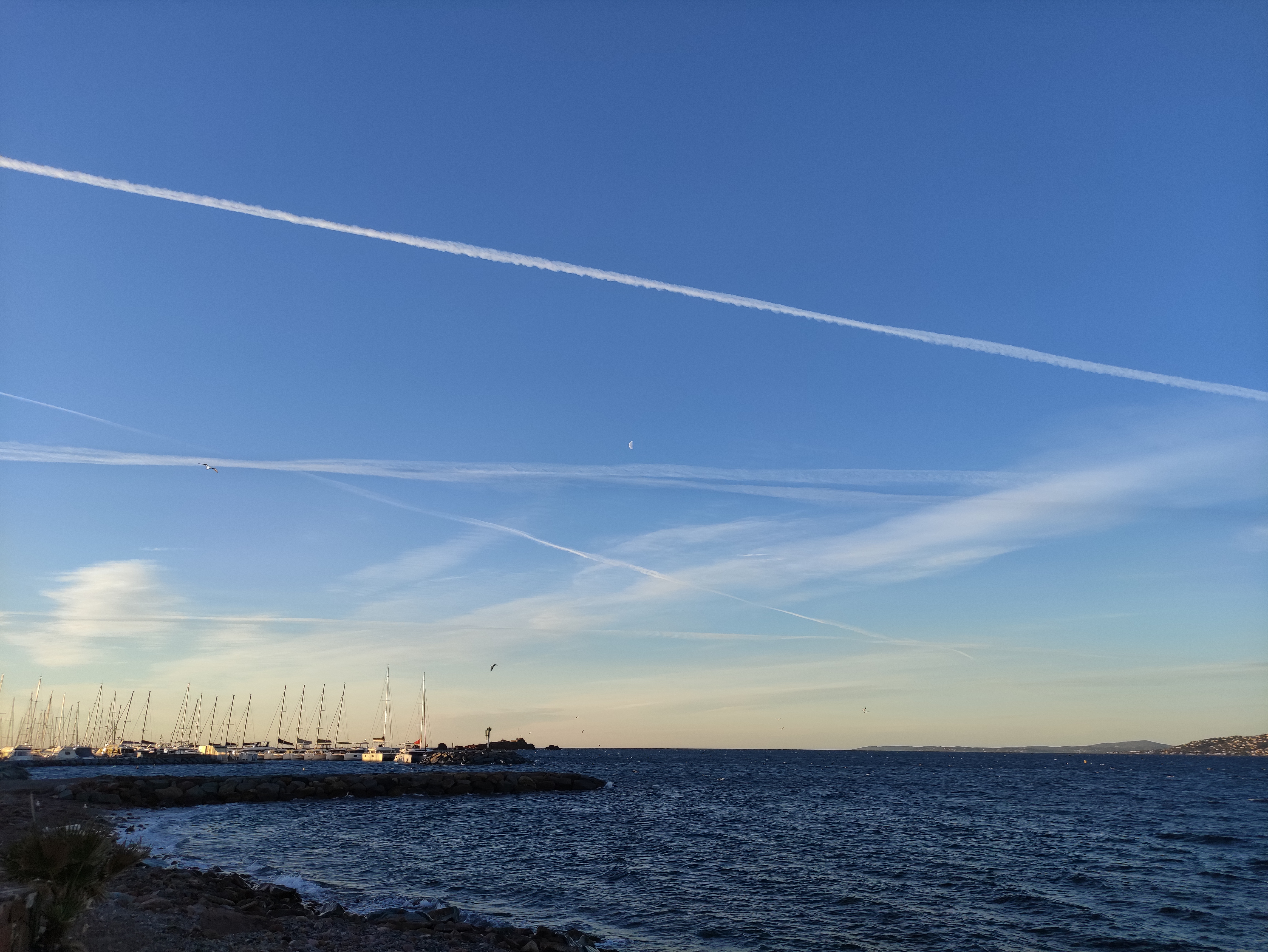 Photo n° 4 de l'avis de Leto.t fait le 10/03/2021 à 19:50
