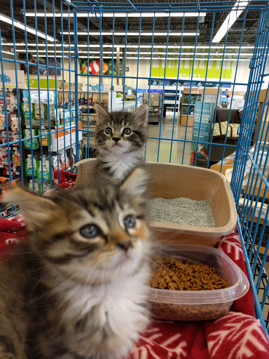 Pet Supply Store «Petco Animal Supplies», reviews and photos, 5925 US-6, Portage, IN 46368, USA