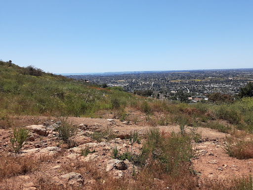 Dictionary Hill Trail Head